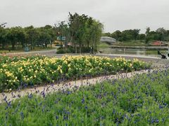 -上海杨姆庄园