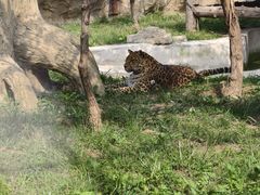 -石家庄市动物园