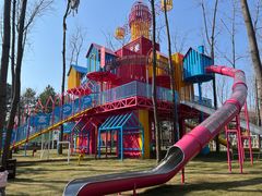 -合肥滨湖国家森林公园