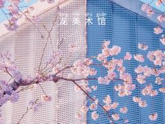-顾村公园