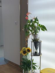 -杭州海亮医院 · 禾芸嘉医美中心