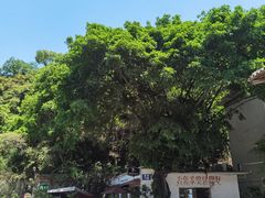 -广东紫坭糖厂(桥头路)
