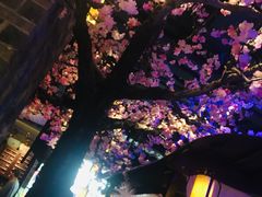 -绿茶餐厅(松江万达店)