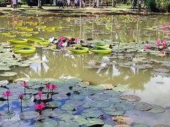 -中国科学院西双版纳热带植物园