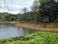 -千岛湖龙川湾