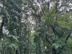 -五泄景区