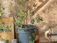 -VOYAGE COFFEE 咖啡烘焙工坊店(798艺术区店)