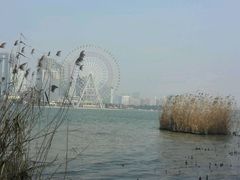 -金鸡湖桃花岛