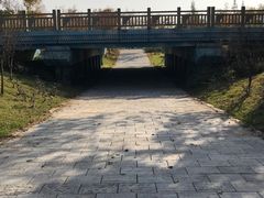 -上海滨江森林公园