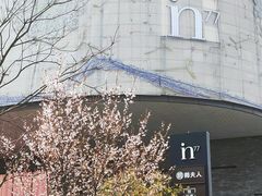 -南方迷宗大包(湖滨店)