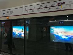 -望京西(地铁站)