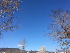 -滨河世纪广场公园