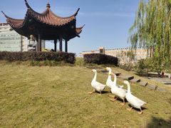 -中国计量大学(西校区)