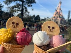 -巴黎迪士尼乐园