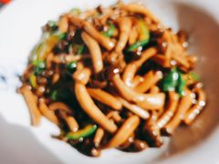 -鸽子窝(宋庄店)