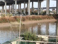 -辉记虾塘海鲜农庄