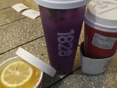 -1828王老吉·草本新茶(珠江新城地铁站店)