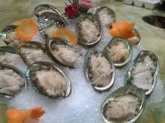 鲍鱼-渔傅·蓝海岸霞浦海鲜(正祥店)
