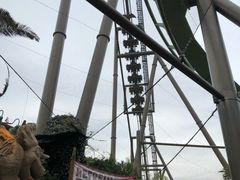 -飞天翼龙