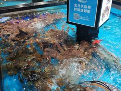 -盒马鲜生(大行宫店)