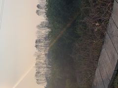 -桤木河湿地公园