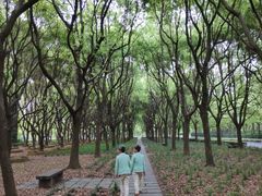 -东怡大酒店(上海科技馆店)