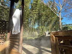 -春晖园度假酒店温泉