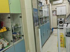 -北京观赏动物医院·24小时大型综合·猫专科·异宠专科
