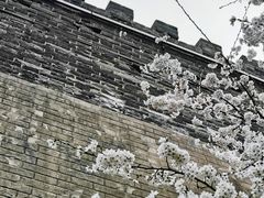 -元大都城垣遗址公园