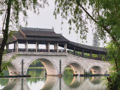 -长广溪湿地公园