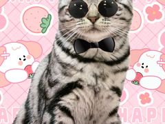 -瑞派福兴宠物医院犬猫全科·骨科·中西医结合(河东店)