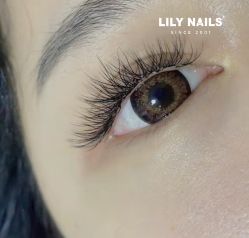-LILY NAILS美甲美睫
