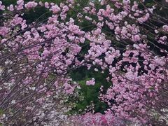 -观澜湖生态运动公社