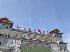 -大槐树寻根祭祖园
