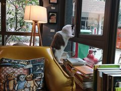 -咖法森林·咖啡  酒吧(天河店)