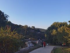 -北京西山国家森林公园