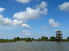 -盐城丹顶鹤湿地生态旅游区