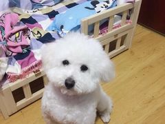 -瑞派宠物医院(锦江店)
