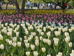 -长春公园(普阳街道)