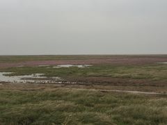 -鄱阳湖国家湿地公园