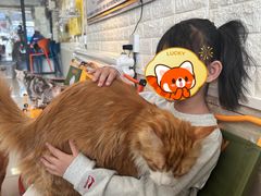 -平行世界·猫咖(首经贸店)