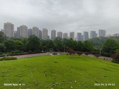 -龙头寺公园