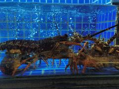 -徐记海鲜(大明宫|北二环店)