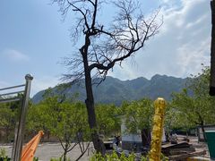 -山叶口景区