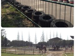 -太阳岛度假酒店