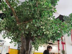 -陕西省小天鹅艺术团