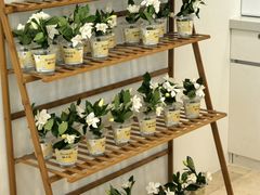 -万达广场(武汉菱角湖店)