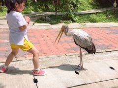 -吉隆坡雀鸟公园