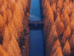 -黄海国家森林公园