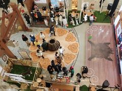 -凯德MALL(西直门店)